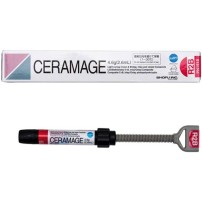 Shofu Ceramage Dentina R2