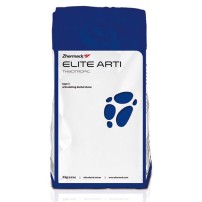 Gesso Elite Arti Fast 3 Kg