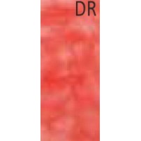 Dentiflex Resina Termo plástica Flexível DC - 250gr